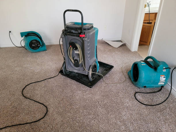 Best Basement water damage restoration  in Avalon, PA