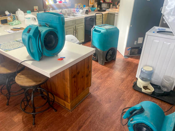 Best Flood damage cleanup  in Avalon, PA