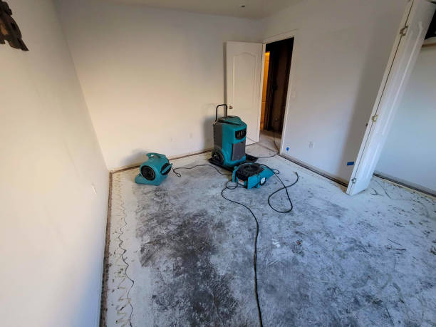 Best Water damage cleanup near me  in Avalon, PA