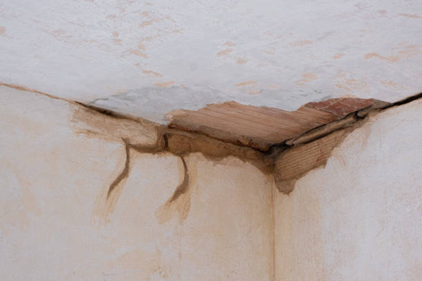Best Basement water damage restoration  in Avalon, PA