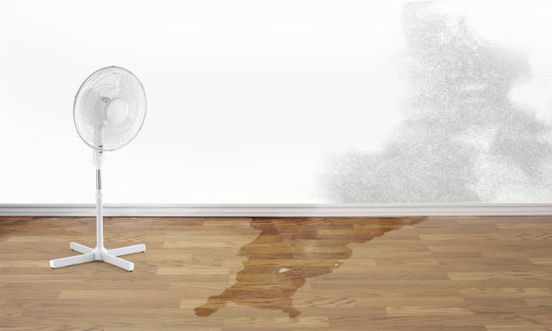Best Sewage cleanup and water damage restoration  in Avalon, PA
