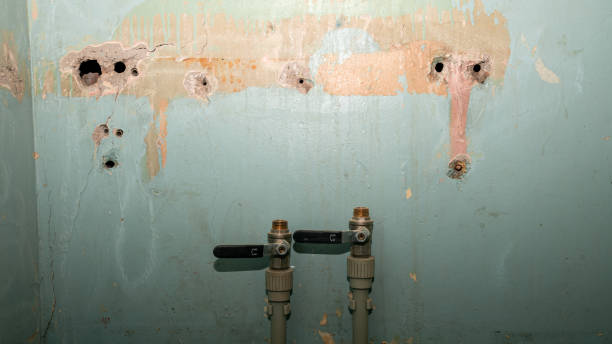 Best Fire Damage Restoration  in Avalon, PA