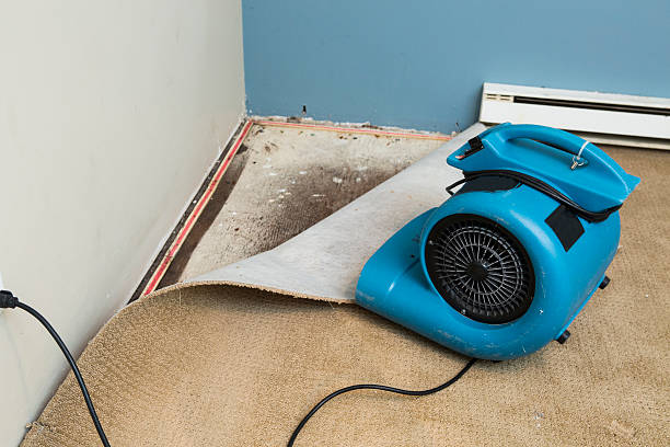 Best Flood restoration services  in Avalon, PA