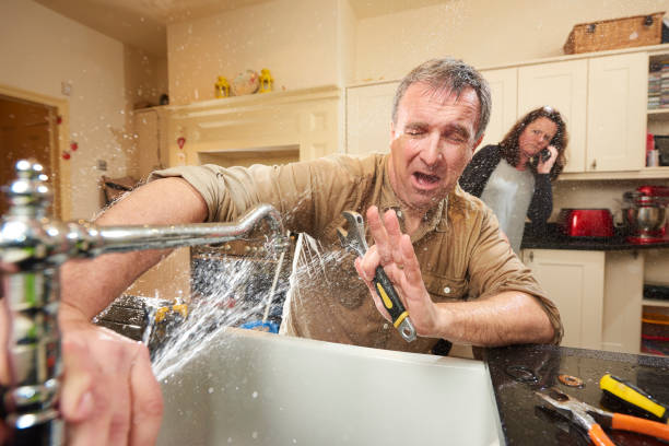 Best Flood damage cleanup  in Avalon, PA